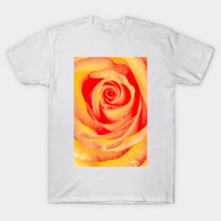 Rose Labyrinth T-Shirt